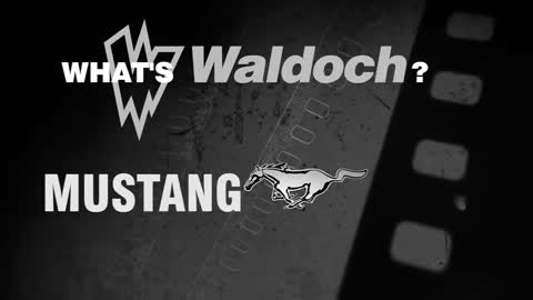 Waldoch Presentation Ford Trucks & Vans Conversions