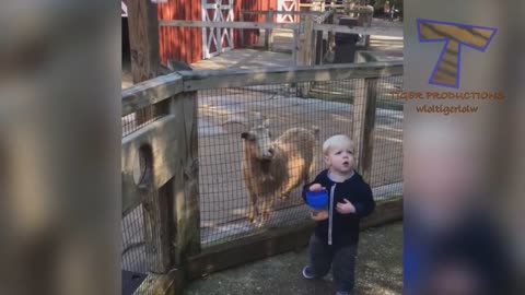 FORGET CATS! Funny KIDS vs ANIMALS are WAY FUNNIER! - TRY NOT TO LAUGH