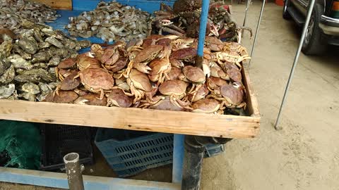 Plenty of Seafood in Popotla MEXICO 🇲🇽