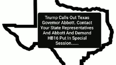 Trump Calls Out Texas Governor Abbott Over Election Audit