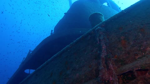 Wreck of a boat that today became a home for fish