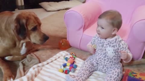 Sweet babies and cute dogs are best friend