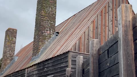 Habitation In Port Royal NS