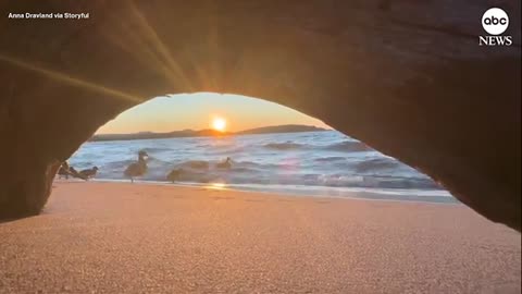 Family of ducks photobomb beautiful sunset shot