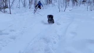 Fun times with puppy in snow