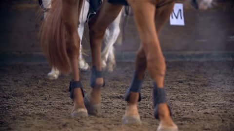 Horses Hooves Walking in Slow Motion