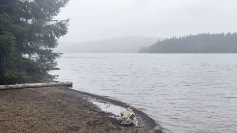 The Misty and Foggy Timothy Lake – Mount Hood National Forest – Oregon – 4K