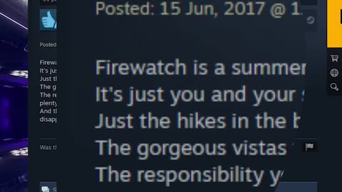 Firewatch Steam Review - More walking than DAYZ!