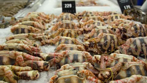 Closeup of Fresh Crab on Ice at the Farmers Market