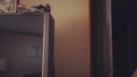 Cat jumps from tv to cough fail