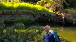 Group of Wolves Howling While Fishing