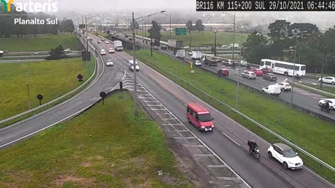 Funny Moment Parrot Plays Peekaboo With CCTV Operators On Brazilian Motorway