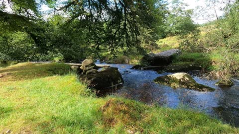 River in Dartmoor