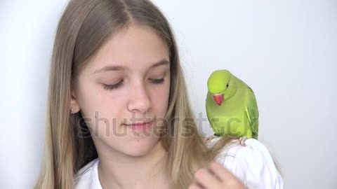 Girl Talk Parrot, Happy Kid Playing her Pet,