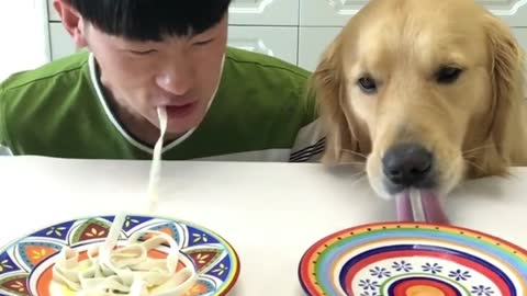 The dog steals food from its owner