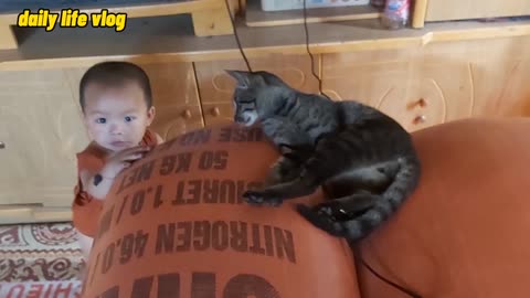 baby and cat playing together | daily life vlog