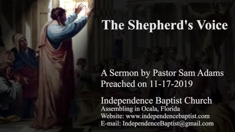 The Shepherd's Voice