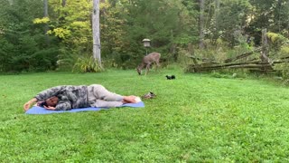 Quiet Outdoor INTUITIVE Yoga And Deer 26min🌍❤️