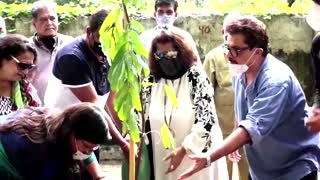 Bollywood stars plant trees in Mumbai