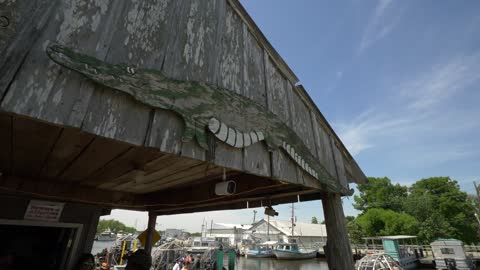 Wooden Alligator Sign, Swamp Adventures