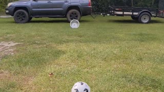 SOCCER TRICK SHOT