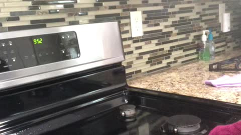 Cleaning the Stove with Envirocloth