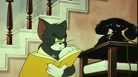 Funny Tom and Jerry cartoon videos, cartoon funny Video, kid's cartoon funny Video,