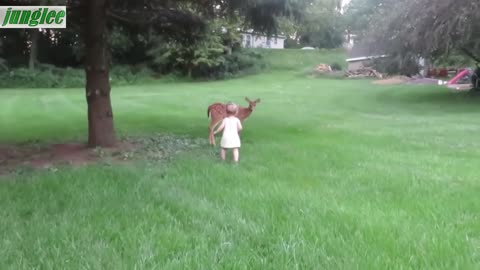 Little girl plays with fawn 1