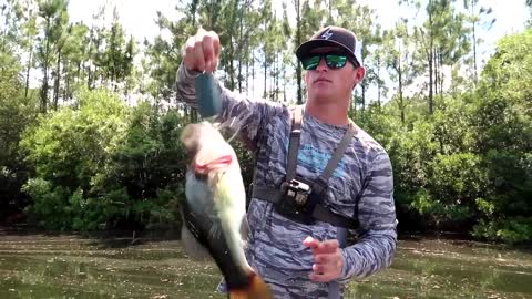 Catching GIANT Bass w/ BIG Swimbaits