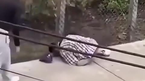 Thug wielding a knife gets knocked out!