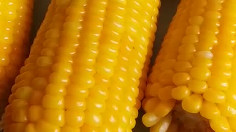 SWEET CORN