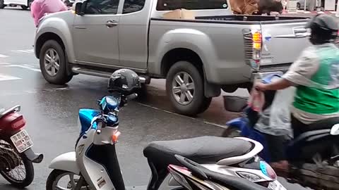 Cows Crossing in Heavy Traffic