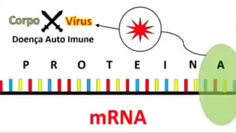 MRNA EXPLICÇÃO SIMPLES