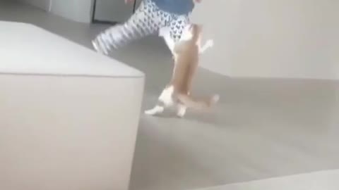 baby is enjoying with cat beautiful time after school with cat