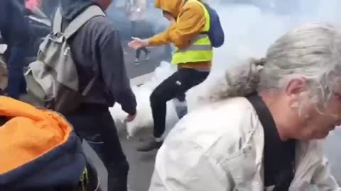 Paris CLASHES: Police fire TEAR GAS during rally against UNVACCINATED RESTRICTIONS