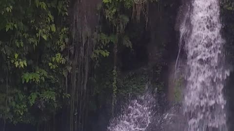 Kawasan falls