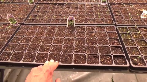 MAY 2024 Grow Lab Update REBOOTAGRICULTURE 4