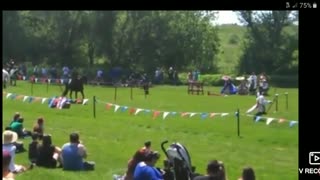 Renaissance Fair Joust and mock fight good fun.