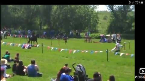 Renaissance Fair Joust and mock fight good fun.