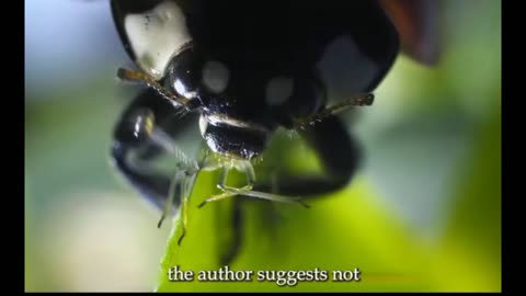 Amazing and interesting facts of aphid insects