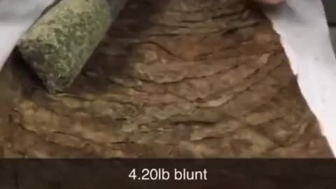 Rolling A 4lb Blunt