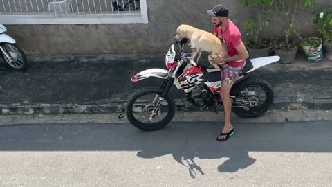 Dog Takes a Ride on Owner's Motorcycle