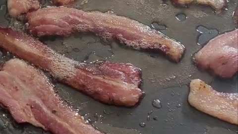 Bacon