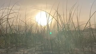 Nature Beach