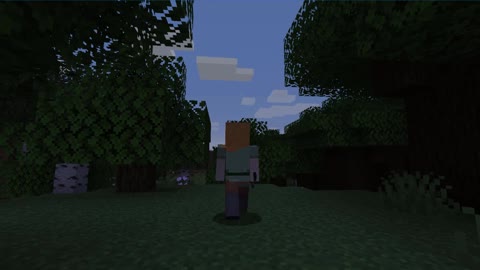 Minecraft vanilla skin version 1.17.1_ Shorts_2nd_Outting_10