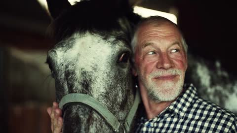 A close-up of a happy senior man standing close to a horse in a stable, holding it