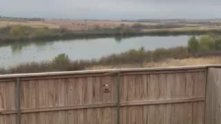 Backyard View with Pond