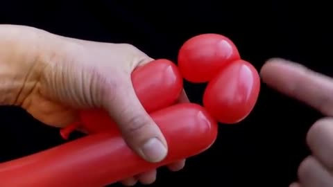 The Beginner's Guide to Making a Dog Balloon Animal