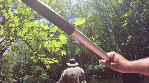 Entering the Mouth of the Ocklawaha by Canoe