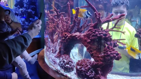 Spencer in the fish tank at science museum VID_20231228_112912